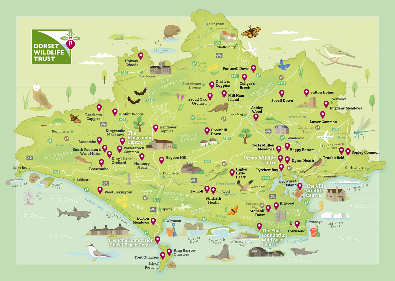Illustrated map for the Dorset Wildlife Trust, UK