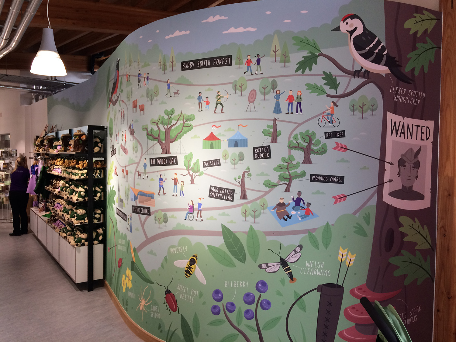 Photograph of the Sherwood Forest wall mural map
